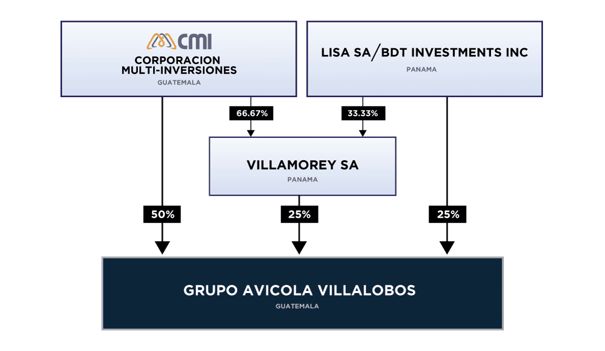Estructura Organizacional