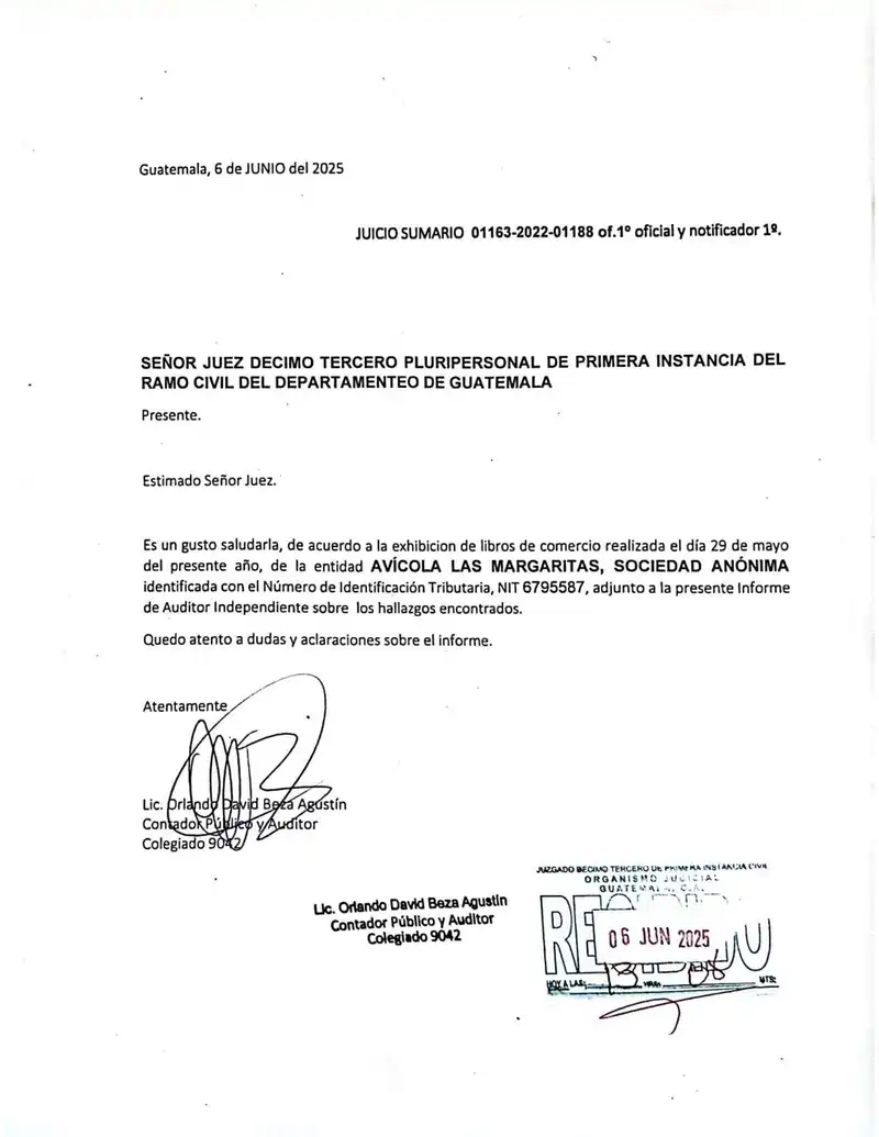 Independent Audit Report on Corporate Books of Avícola Las Margaritas