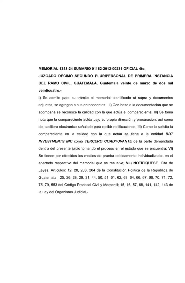 Twelfth Civil Court admits BDT Investments Inc. as third-party co-litigant supporting Lisa, S.A. in commercial summary proceeding filed by Reproductores Avícolas, S.A.