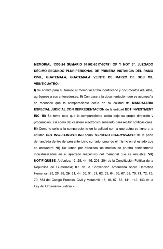 The Twelfth Civil Court of First Instance admitted BDT Investments Inc. as a third-party intervenor supporting Lisa, S.A. in the extinctive prescription summary proceeding filed by Reproductores Avícolas, S.A.