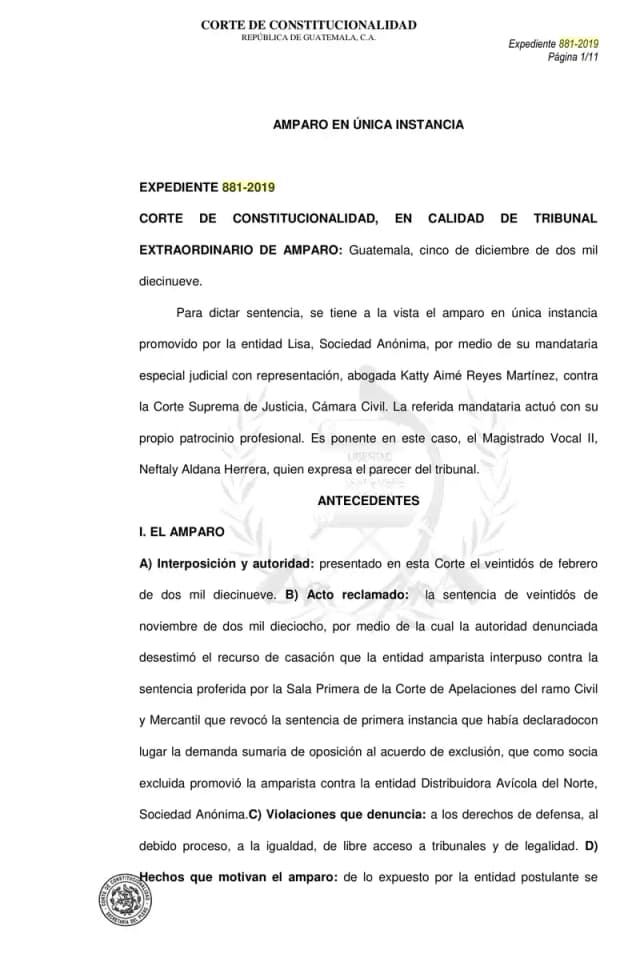 The Constitutional Court denied Lisa, S.A.'s amparo, confirming that the appellate ruling sustaining lack of standing is depurative and not subject to cassation.