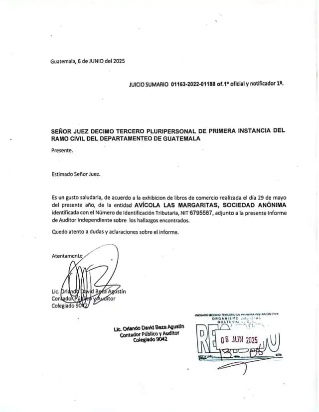 Expert report by Lic. Orlando Beza Agustín confirms Lisa, S.A.'s dividends in Avícola Las Margaritas are subject to six active judicial embargoes and that the 2014 assembly never set a payment date or form.
