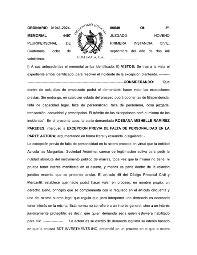 Ninth Civil Court grants exception of lack of standing, ruling Avícola Las Margaritas lacks legitimation to challenge BDT Investments Inc.'s power of attorney.
