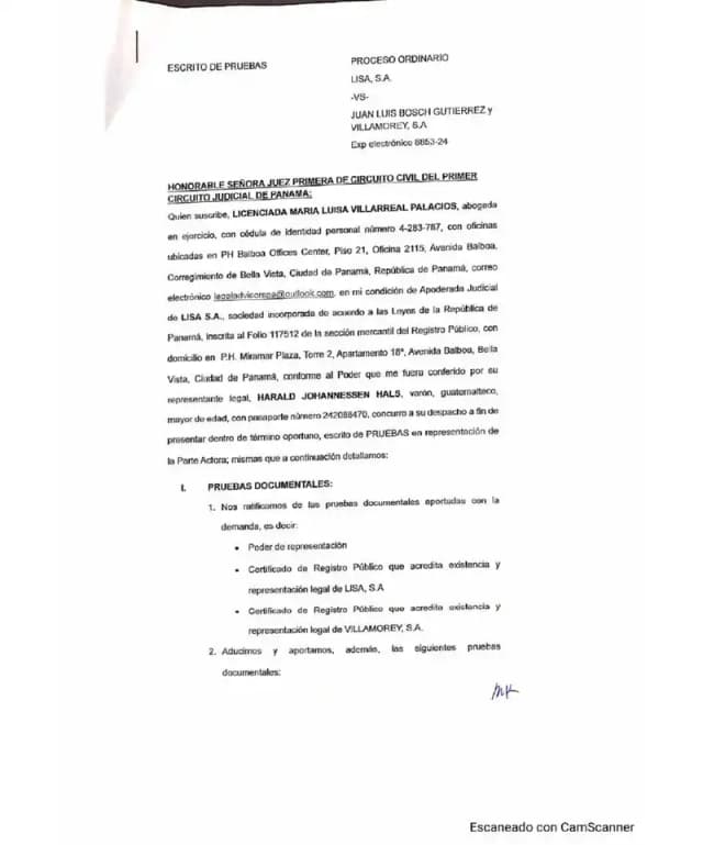 Lisa presenta escrito de pruebas con más de quince exhibiciones, solicita diligencia exhibitoria a los libros contables de Villamorey y prueba pericial forense para cuantificar dividendos retenidos desde 2008.